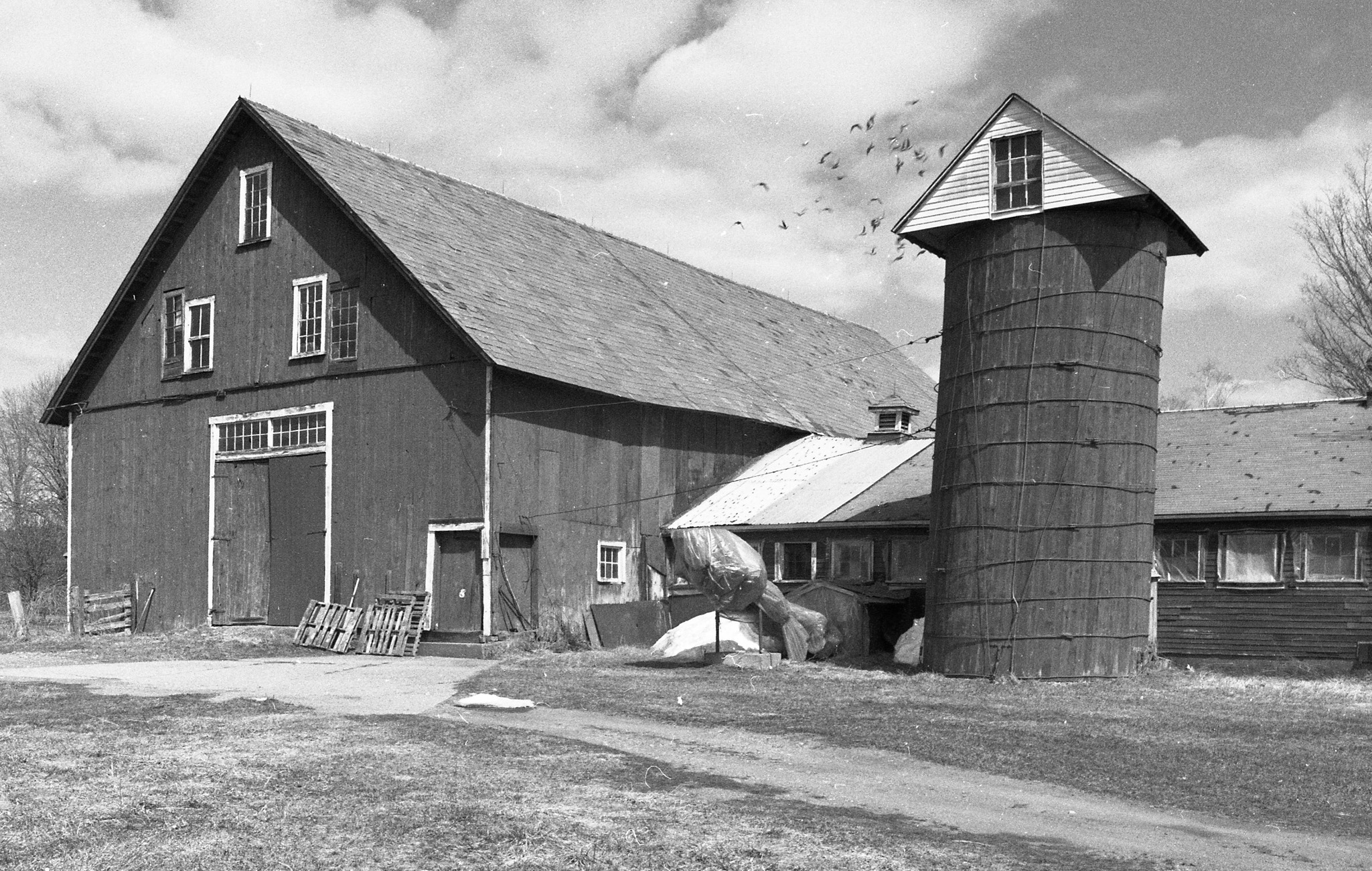 Berkshire Farm - MF