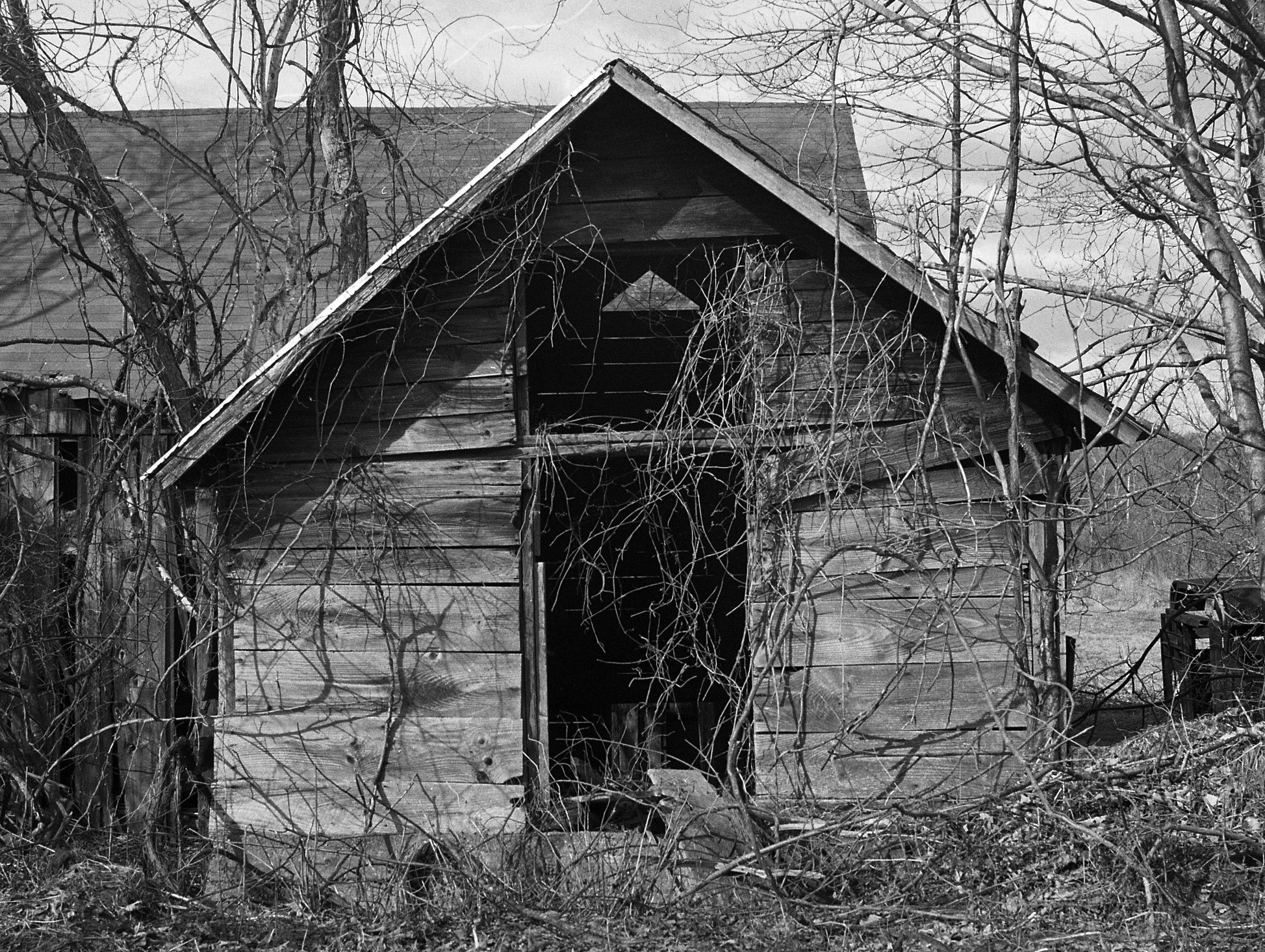 Berkshires barn   MF