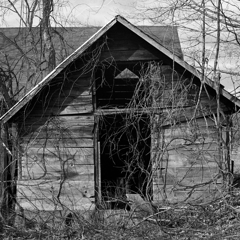 Berkshires barn   MF
