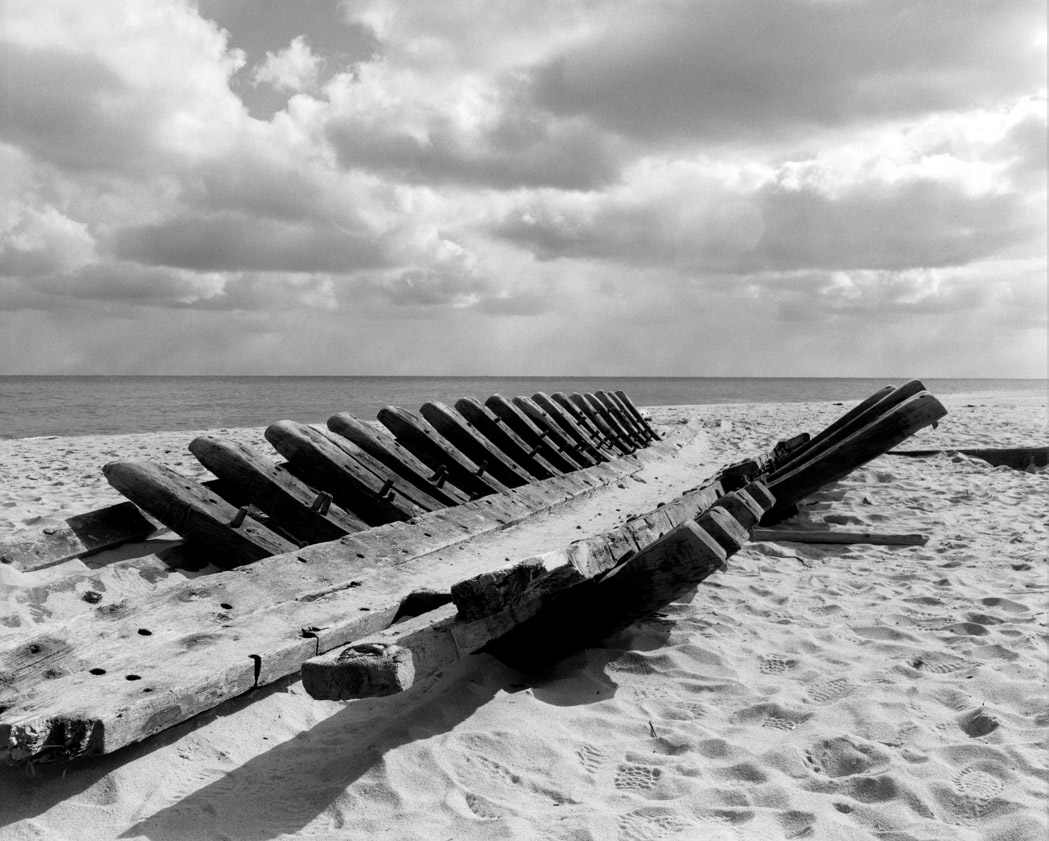 Washed up one day at the National Seashore. - LF