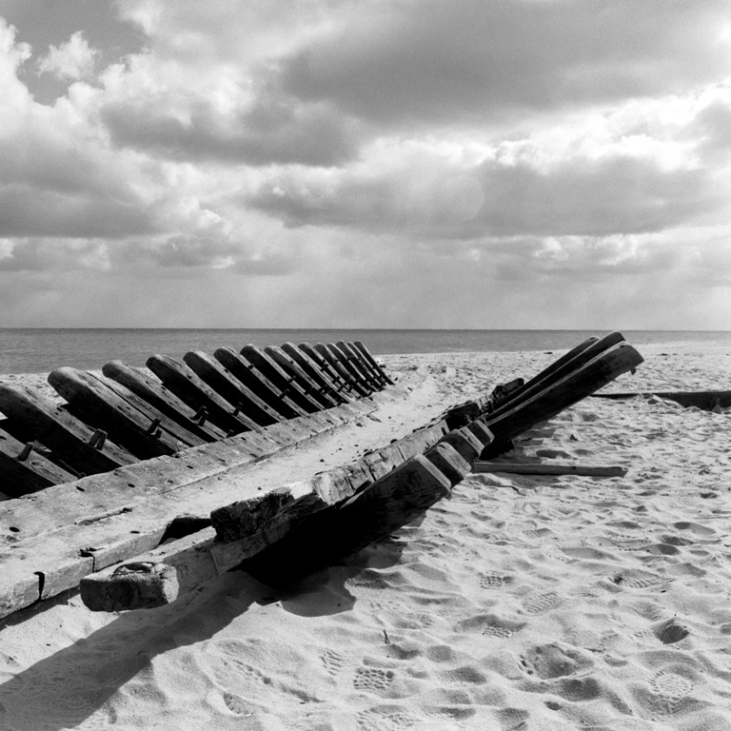 Washed up one day at the National Seashore. - LF