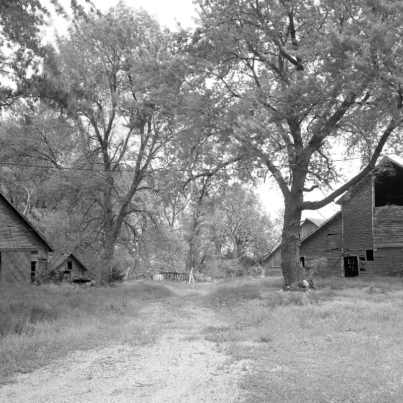 South Dakota farm buildings slowly falling down.