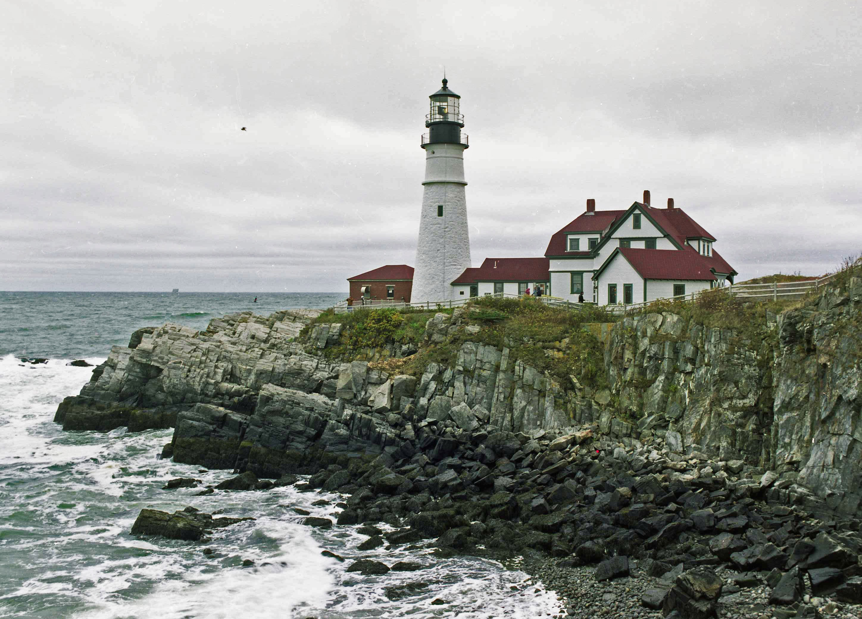 Portland Light  - LF